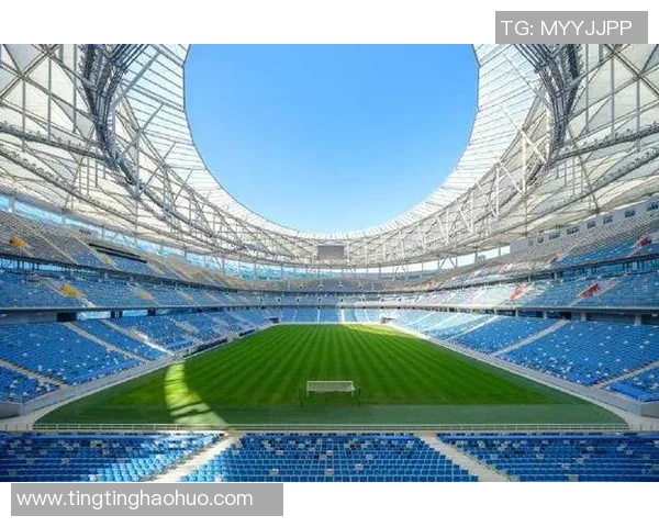 足球场露鸟现象引发热议探讨其对比赛和环境的影响